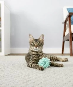 Frisco Moppy Ball Cat Toy -Frisco Sales 2024 161280 PT1. SY630 V1568909977