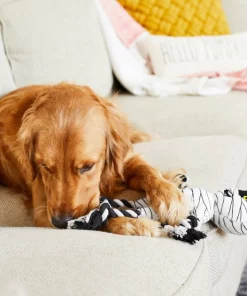 Frisco Mummy Plush with Rope Squeaky Dog Toy -Frisco Sales 2024 161354 PT6. SY630 V1597599395