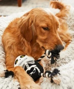 Frisco Halloween Skeleton Plush with Rope Squeaky Dog Toy -Frisco Sales 2024 161358 PT6. SY630 V1597599370
