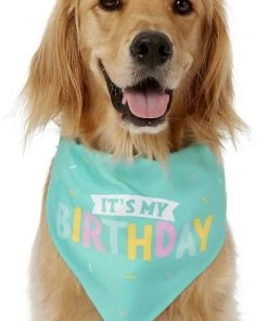 Frisco Dog & Cat Birthday Bandana 9 Frisco Dog & Cat Birthday Bandana -Frisco Sales 2024 162803 PT2. SY630 V1633086083