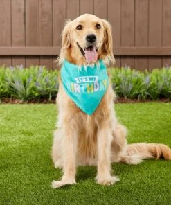 Frisco Dog & Cat Birthday Bandana 11 Frisco Dog & Cat Birthday Bandana -Frisco Sales 2024 162803 PT5. SY630 V1568147526