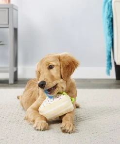 Frisco Plush Birthday Cake Slice with Squeaker Dog Toy -Frisco Sales 2024 162906 PT2. SY630 V1565379438