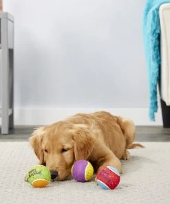 Frisco Fetch Squeaking Birthday Tennis Ball Dog Toy, 3-Pack -Frisco Sales 2024 162914 PT2. SY630 V1565379548