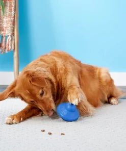 Frisco Rubber Flying Saucer Treat Dispenser Dog Toy -Frisco Sales 2024 164757 PT4. SY630 V1604676731