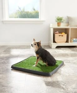 Frisco Indoor Grass Potty -Frisco Sales 2024 166343 PT2. SY630 V1657656049