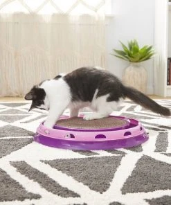 Frisco Scratch & Roll Scratcher Cat Toy with Catnip 7 Frisco Scratch & Roll Scratcher Cat Toy with Catnip -Frisco Sales 2024 166516 PT3. SY630 V1573664911