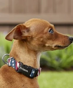 Frisco American Flag Polyester Dog Collar -Frisco Sales 2024 172487 PT2. SY630 V1629152228