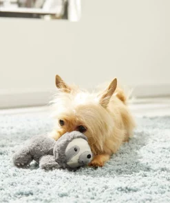 Frisco Plush Squeaking Sloth Dog Toy -Frisco Sales 2024 174680 PT2. SY630 V1573492414