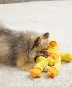 Frisco Plush with Inside Rope Squeaking Duck Dog Toy -Frisco Sales 2024 174723 PT2. SY630 V1573492709