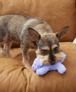 Frisco Plush Squeaking Hippo Dog Toy 7 Frisco Plush Squeaking Hippo Dog Toy -Frisco Sales 2024 175407 PT2. SY630 V1573492808