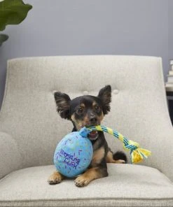 Frisco Birthday Balloon Dog Toy 7 Frisco Birthday Balloon Dog Toy -Frisco Sales 2024 177805 PT2. SY630 V1573492815