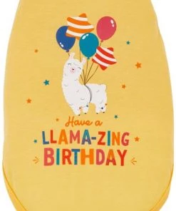 Frisco Llama-zing Birthday Dog & Cat T-Shirt -Frisco Sales 2024 191240 PT2. SY630 V1582053523