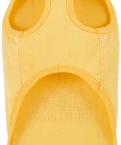 Frisco Llama-zing Birthday Dog & Cat T-Shirt -Frisco Sales 2024 191240 PT3. SY630 V1582053516