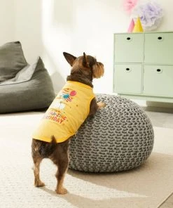 Frisco Llama-zing Birthday Dog & Cat T-Shirt -Frisco Sales 2024 191240 PT4. SY630 V1582053521