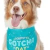 Frisco Happy Gotcha Day Dog & Cat Bandana -Frisco Sales 2024 191247 MAIN. SY630 V1633084319