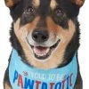 Frisco Pawtriot Dog & Cat Bandana -Frisco Sales 2024 191277 Main. SY630 V1584623866