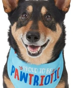 Frisco Pawtriot Dog & Cat Bandana