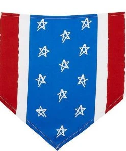 Frisco Stars & Stripes Dog & Cat Bandana -Frisco Sales 2024 191288 PT2. SY630 V1632434776