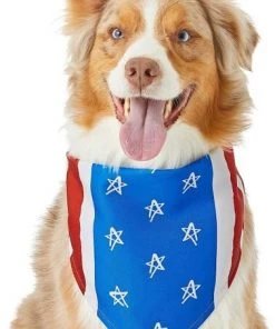 Frisco Stars & Stripes Dog & Cat Bandana -Frisco Sales 2024 191288 PT3. SY630 V1632420375