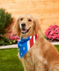 Frisco Stars & Stripes Dog & Cat Bandana -Frisco Sales 2024 191288 PT4. SY630 V1632423083