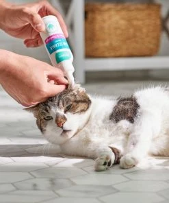 Frisco Cat Ear Cleaner -Frisco Sales 2024 192094 PT4. SY630 V1589487657