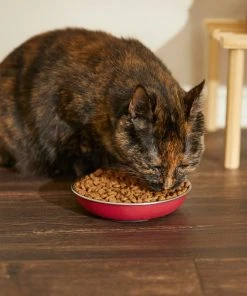 Frisco Heavy Duty Non-Skid Saucer Cat Bowl -Frisco Sales 2024 204461 PT6. SY630 V1599082292