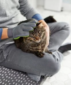 Frisco Dog & Cat Grooming Glove, Right Hand -Frisco Sales 2024 206845 PT6. SY630 V1610762805