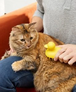 Frisco Rubber Duckie Dog & Cat Curry Brush -Frisco Sales 2024 206849 PT8. SY630 V1600915956