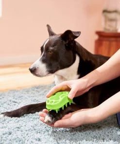 Frisco Bone Dog Curry Brush -Frisco Sales 2024 206851 PT8. SY630 V1600915961