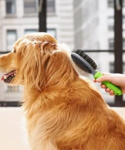 Frisco Cat & Dog Pin Bristle Brush -Frisco Sales 2024 206855 PT8. SY630 V1600915965