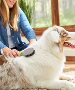 Frisco Cat & Dog Bristle Brush, One-Size -Frisco Sales 2024 206859 PT8. SY630 V1600915880