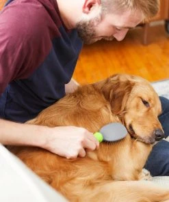 Frisco Cat & Dog Pin Brush, One-Size -Frisco Sales 2024 206861 PT7. SY630 V1600915905