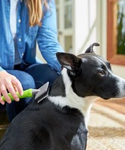 Frisco Soft Slicker Dog Brush, One Size -Frisco Sales 2024 206869 PT8. SY630 V1600915932