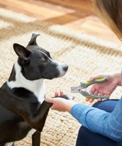 Frisco Dog Nail Trimmer -Frisco Sales 2024 206877 PT8. SY630 V1600915891