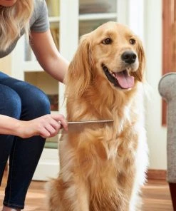 Frisco Metal Dog & Cat Comb -Frisco Sales 2024 206882 PT7. SY630 V1600915920