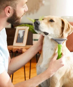 Frisco Deshedding Dog & Cat Brush -Frisco Sales 2024 206890 PT7. SY630 V1600915870