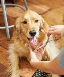 Frisco Curved-Tip Dog & Cat Shears -Frisco Sales 2024 206897 PT8. SY630 V1600915989