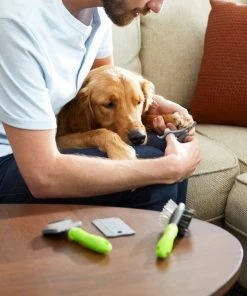 Frisco Beginner Grooming Kit for Dogs & Cats, 4-pack -Frisco Sales 2024 206909 PT8. SY630 V1600916167