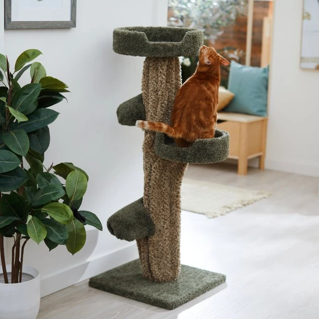 Frisco 49-in Tree-Shaped Real Carpet Wooden Cat Tree 3 Frisco 49-in Tree-Shaped Real Carpet Wooden Cat Tree