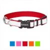 Frisco Solid Polyester Reflective Dog Collar -Frisco Sales 2024 212775 MAIN. SY630 V1619125939