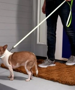 Frisco Solid Polyester Reflective Dog Leash -Frisco Sales 2024 212812 PT4. SY630 V1581114493