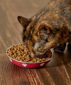 Frisco Heavy Duty Non-Skid Saucer Cat Bowl, Red Paw -Frisco Sales 2024 213423 PT6. SY630 V1599082004