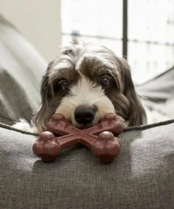 Frisco Bacon Flavor Tough Nylon Dog Chew Toy -Frisco Sales 2024 213429 PT2. SY630 V1581715680