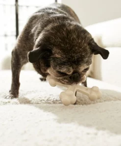 Frisco Chicken Flavor Tough Nylon Dog Chew Toy -Frisco Sales 2024 213432 PT2. SY630 V1581715692