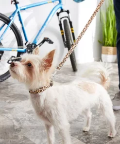 Frisco Leopard Print Polyester Dog Leash -Frisco Sales 2024 213759 PT4. SY630 V1628029580