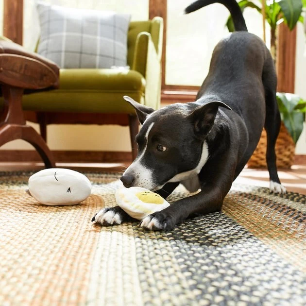 Frisco Plush Squeaking 2-in-1 Tearable Egg & Yolk Dog Toy 6 Frisco Plush Squeaking 2-in-1 Tearable Egg & Yolk Dog Toy - Image 4