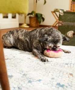 Frisco Strawberry Frosted Donut Dense Foam Squeaky Dog Toy -Frisco Sales 2024 213804 PT8. SY630 V1600488492