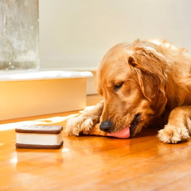 Frisco Ice Cream Sandwich & Ice Cream Cone Latex Dog Toy, 2-pack 5 Frisco Ice Cream Sandwich & Ice Cream Cone Latex Dog Toy, 2-pack - Image 3