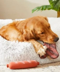 Frisco T-Bone Steak & Sausage Latex Dog Toy, 2-pack -Frisco Sales 2024 213842 PT8. SY630 V1600488507