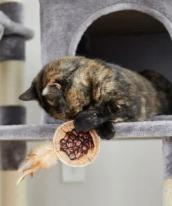 Frisco Bag-of-Coffee Beans Cat Toy with Catnip 7 Frisco Bag-of-Coffee Beans Cat Toy with Catnip -Frisco Sales 2024 213898 PT8. SY630 V1600488454